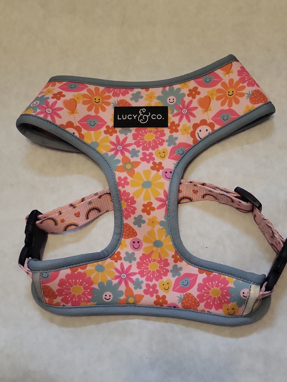 Lucy & Co. Reversible Dog Harness walking Halter